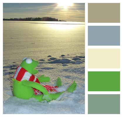 Winter Cold Snow Kermit Image